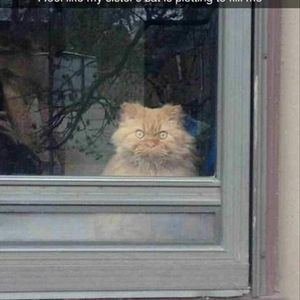 Meet your Posher, Kathleen